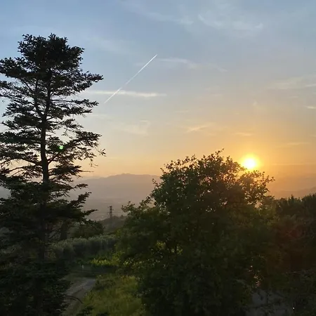 La Terrazzina *