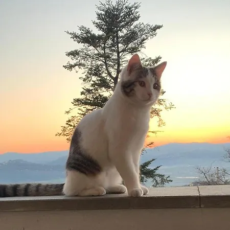 Dom wakacyjny La Terrazzina Santo Stefano di Magra